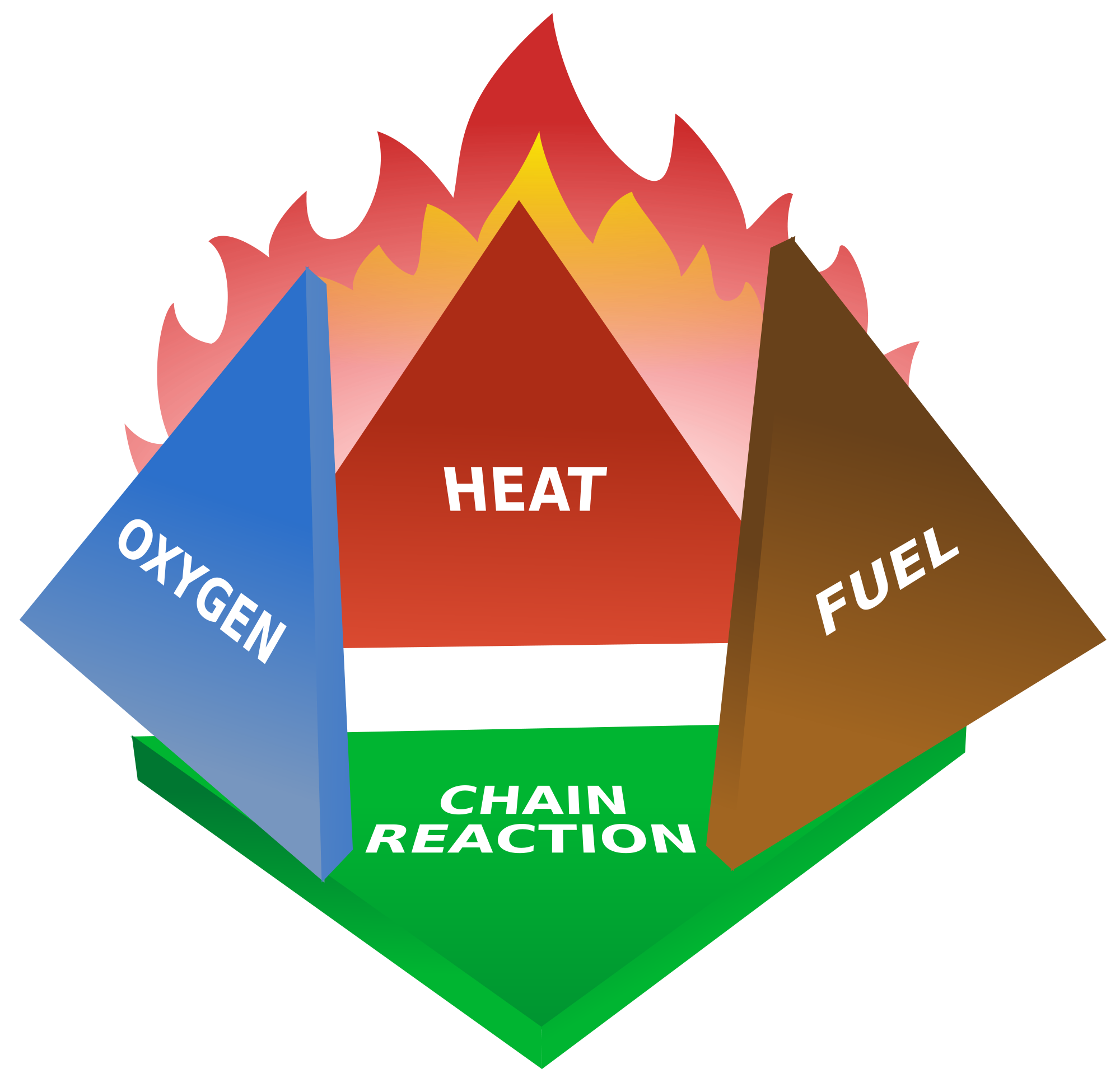 The Science Behind Fire Behavior and Spread